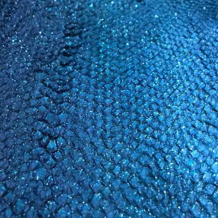 cuir, poisson